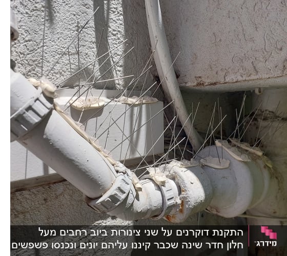 דוקרנים על צינורות למניעת נחיתת יונים